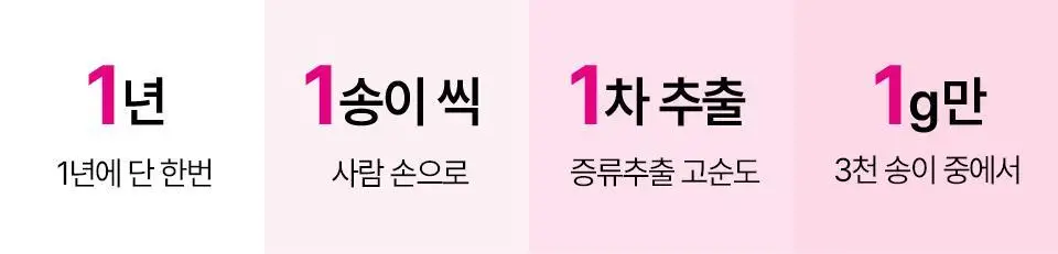 [잡티흔적/로즈PDRN] 아이소이 브라이트닝 잡티케어 듀오 세트(세럼 20ml +크림 35ml) 상세페이지 23